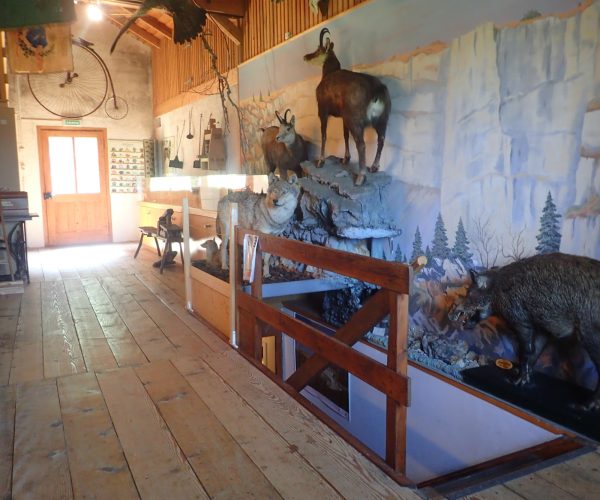 cj-banderette-musee-gm61321-gregoire-monnier_2000